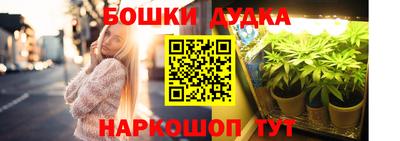 молекула духа Лесосибирск